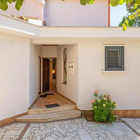 Pet-friendly With Terrace *